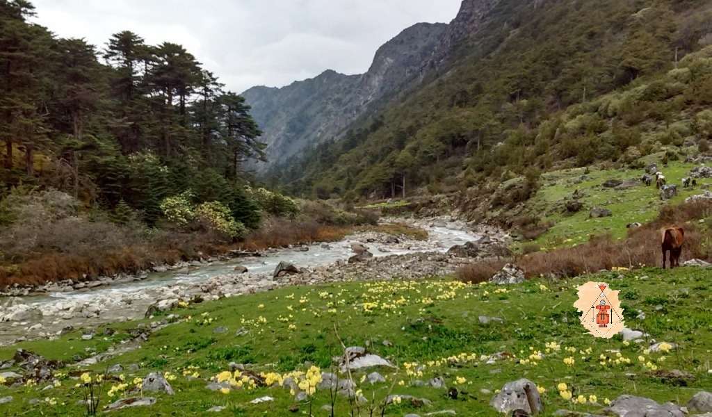 dagala trek