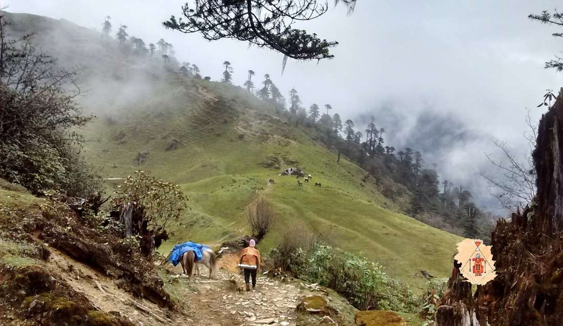 dagala trek